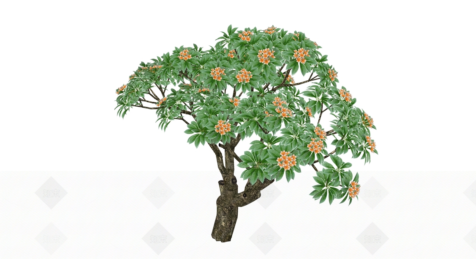 灌木SU模型下载【ID:1165683192】