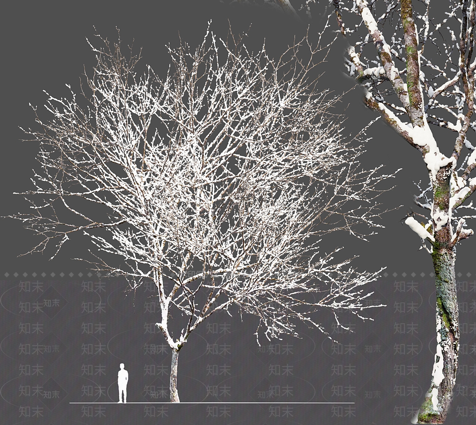 景观树3D模型下载【ID:1165711141】