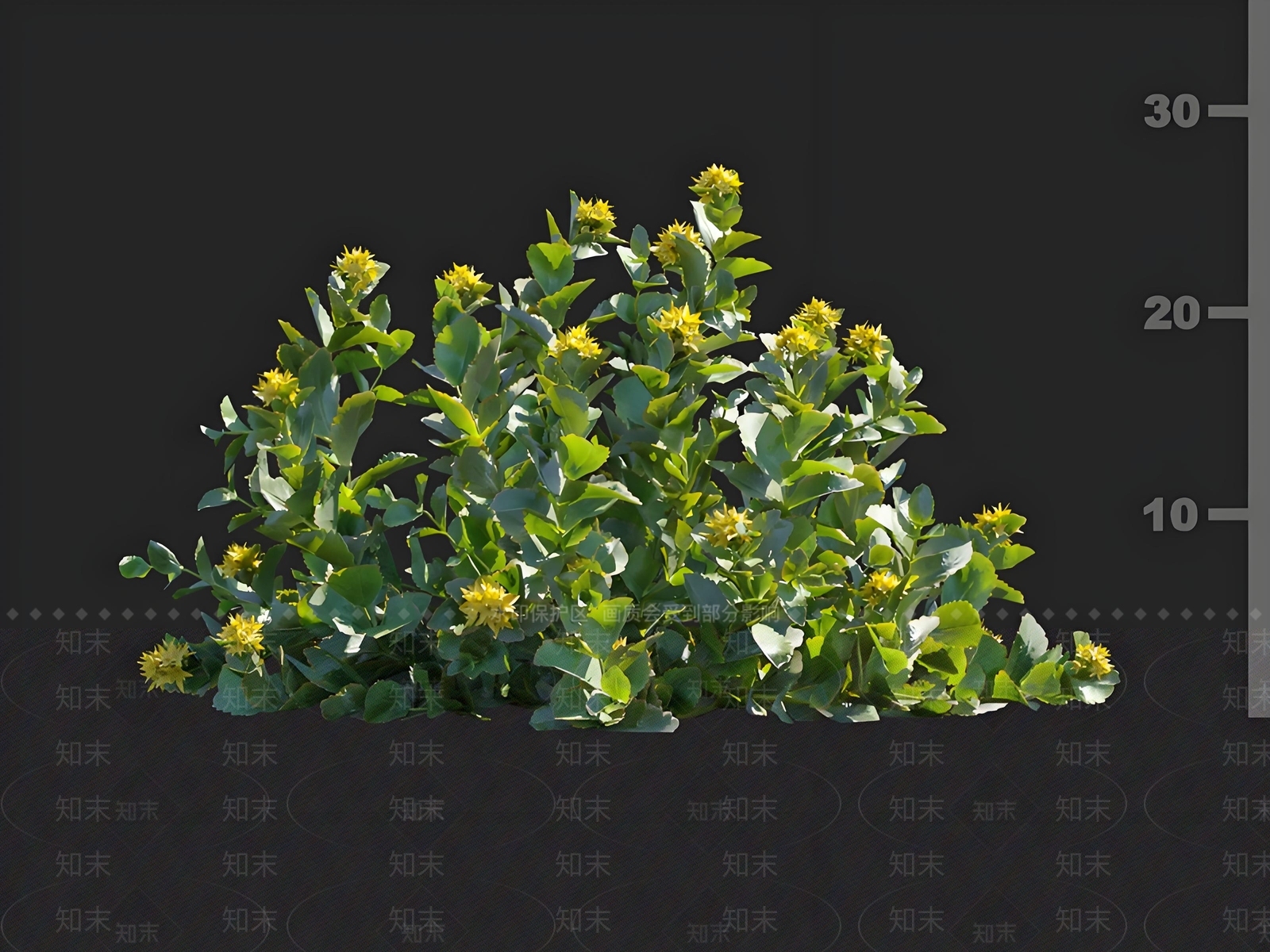 灌木3D模型下载【ID:1165724223】