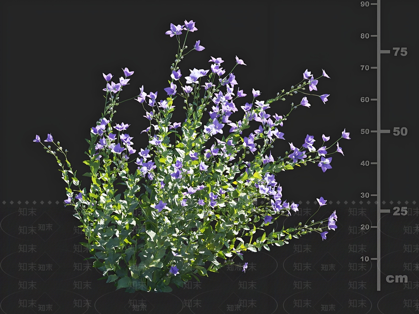 花草组合3D模型下载【ID:1165723634】