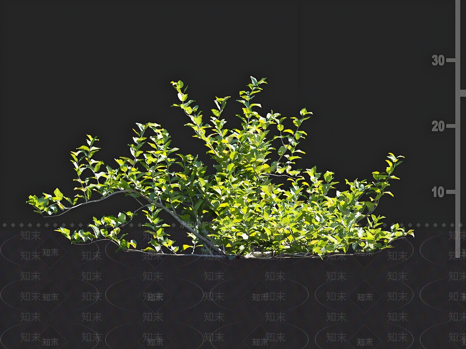 灌木3D模型下载【ID:1165727224】