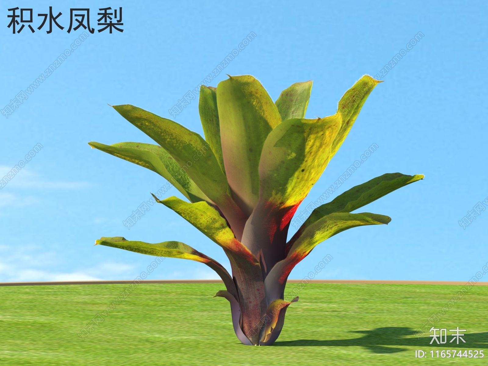 草3D模型下载【ID:1165744525】