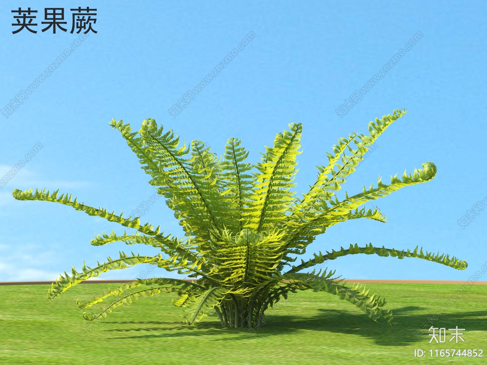 草3D模型下载【ID:1165744852】