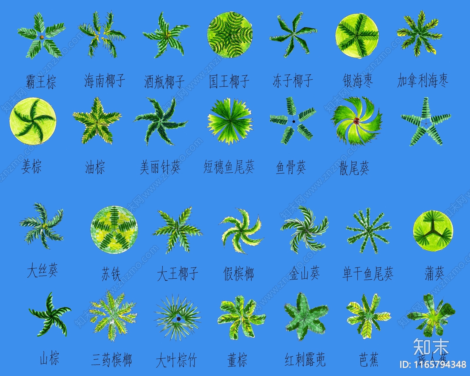 平面棕榈psd合成下载【ID:1165794348】