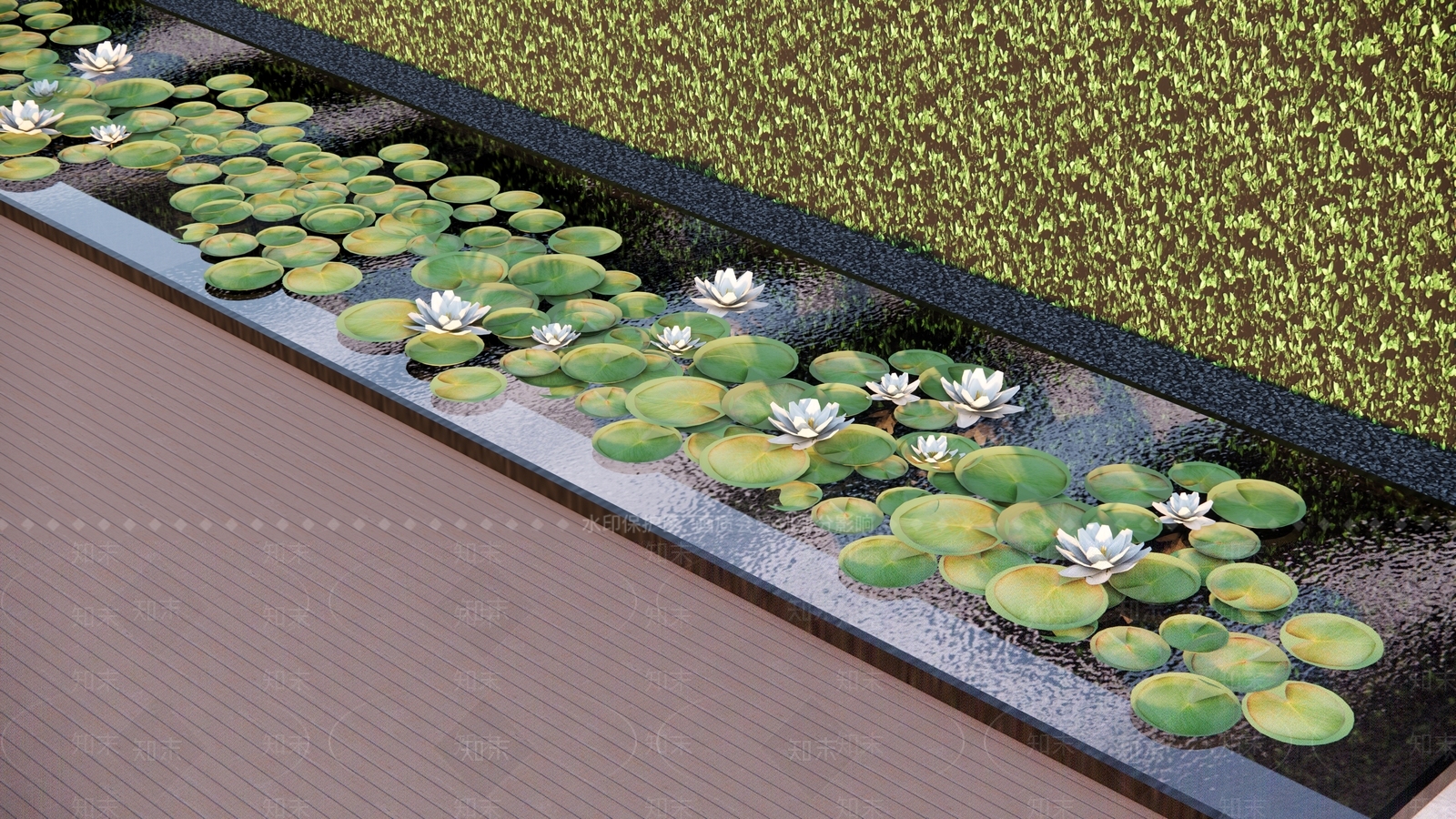 水生植物SU模型下载【ID:1165811577】