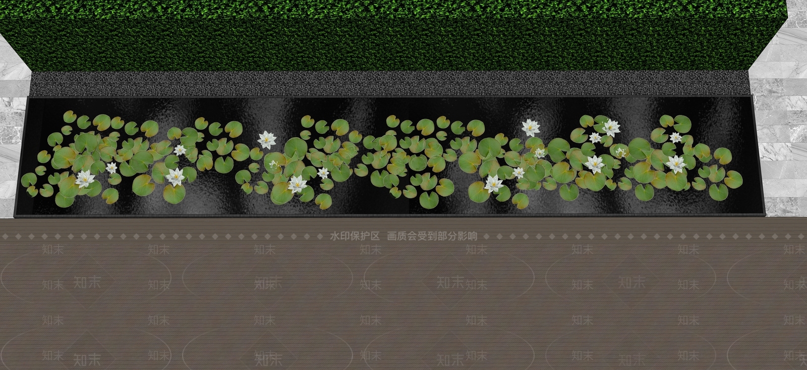 水生植物SU模型下载【ID:1165811577】
