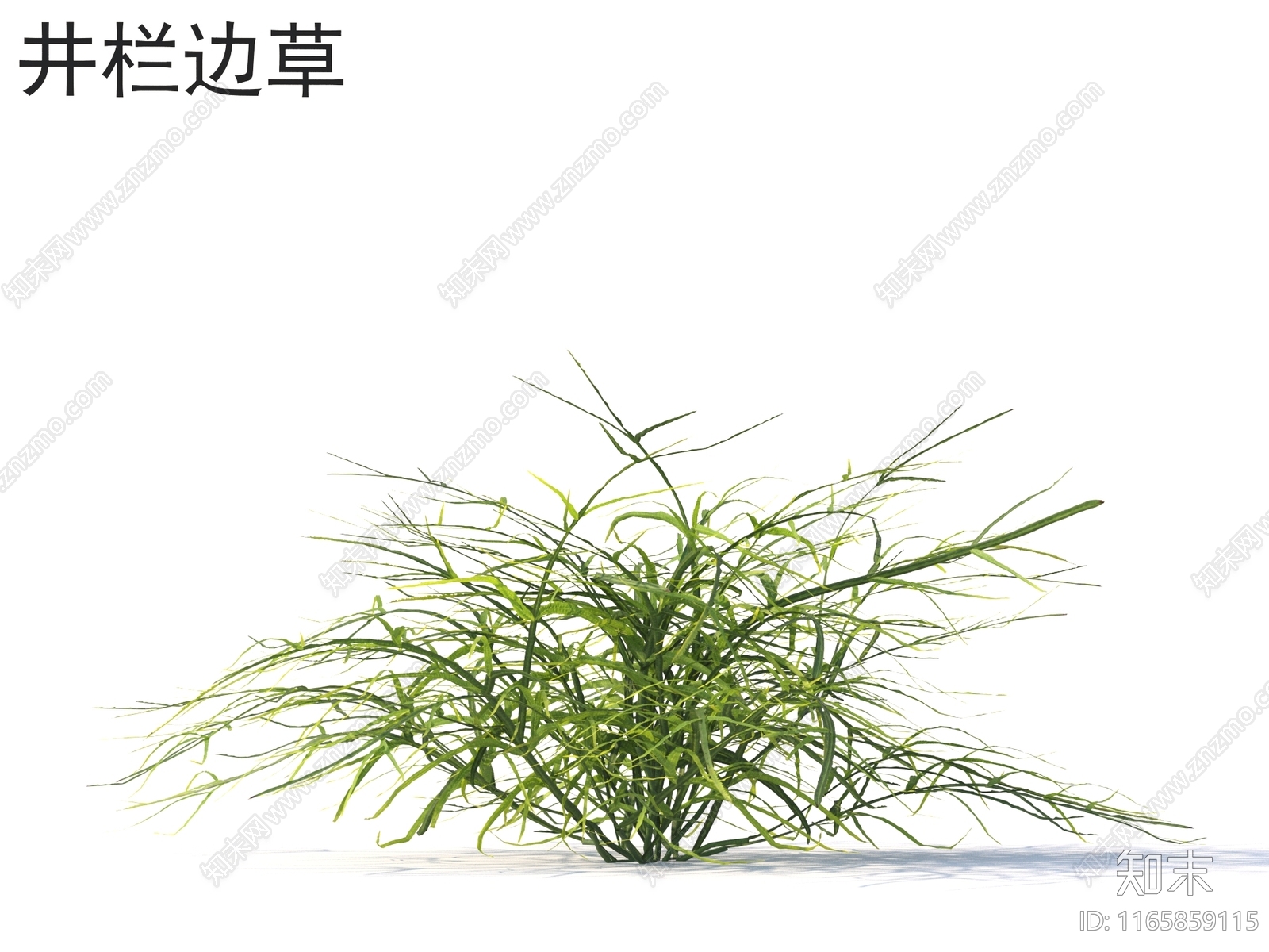 草3D模型下载【ID:1165859115】