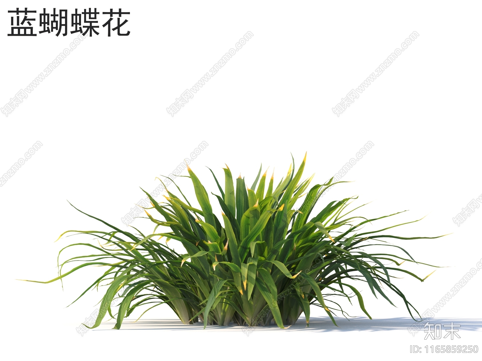 草3D模型下载【ID:1165859250】