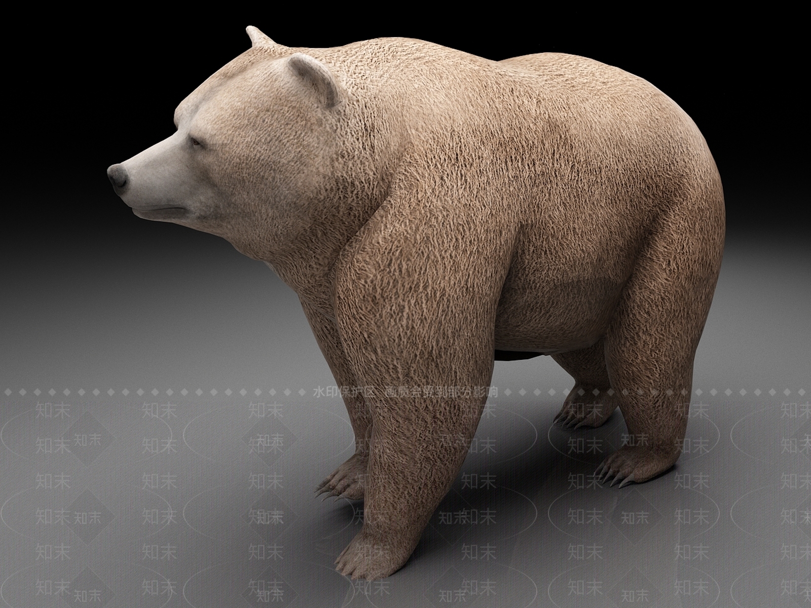 爬行类动物3D模型下载【ID:1165868619】