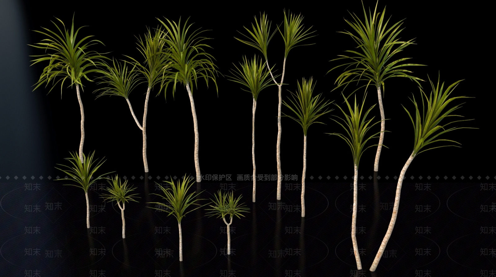 其他树木3D模型下载【ID:1165914037】