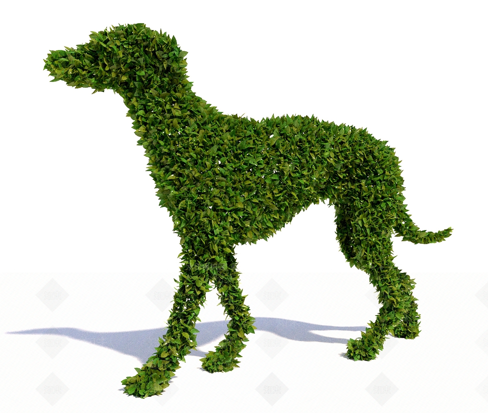 其他绿植3D模型下载【ID:1165936272】