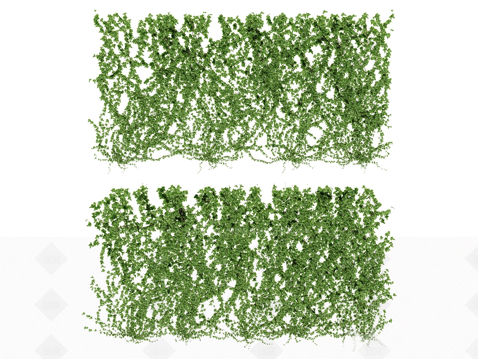 藤蔓3D模型下载【ID:1165940544】