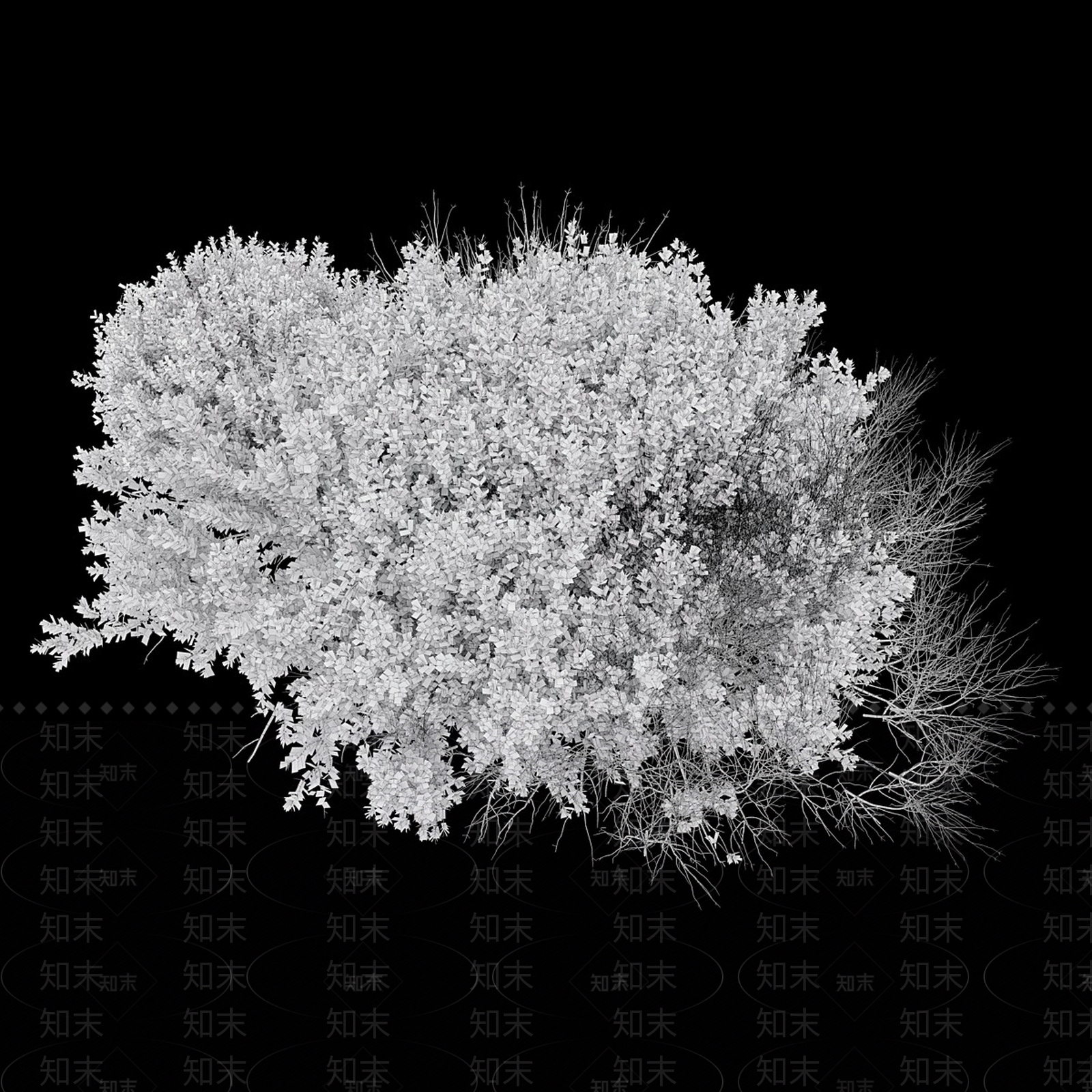 灌木3D模型下载【ID:1165959137】