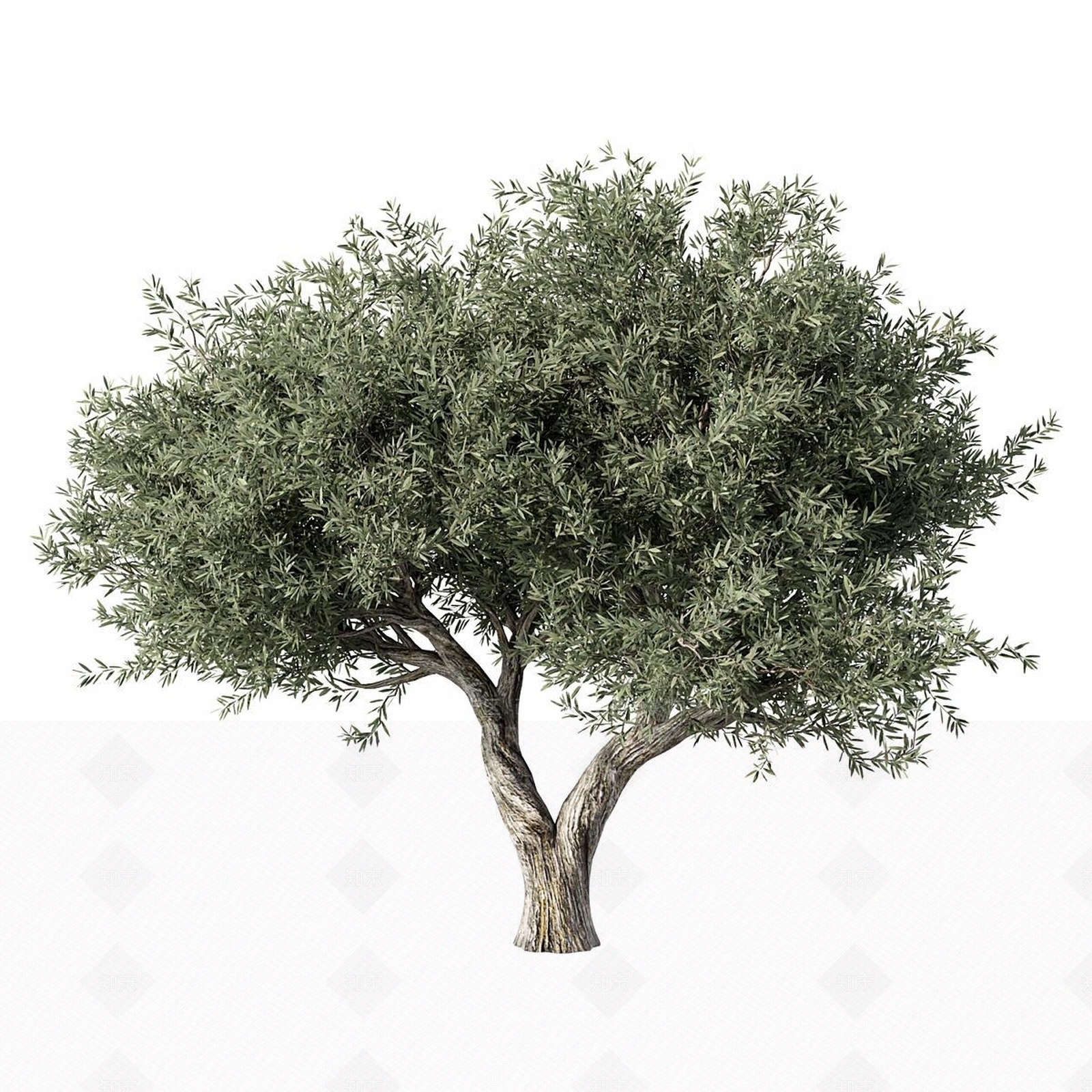其他树木3D模型下载【ID:1165959536】