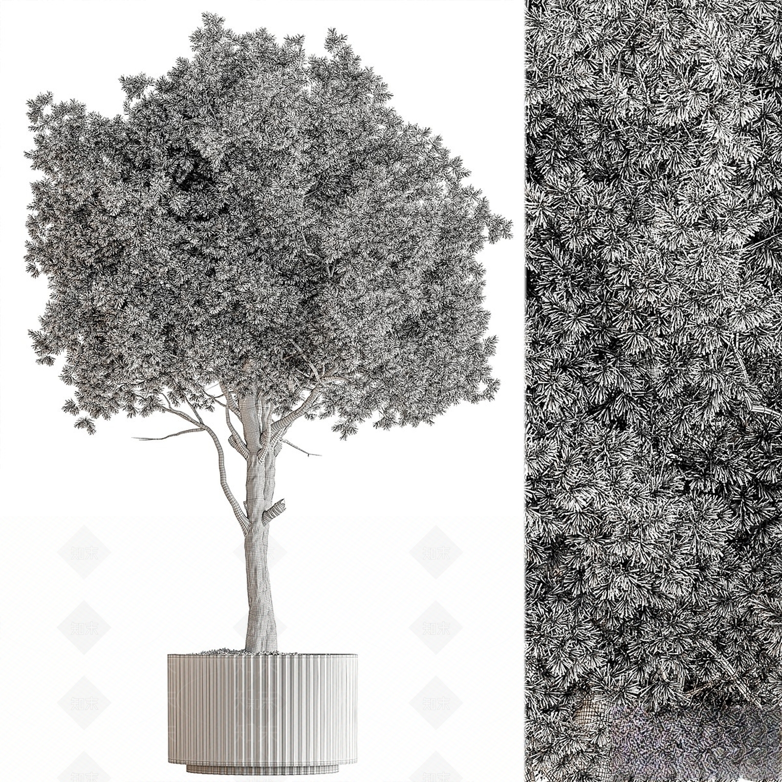 盆栽3D模型下载【ID:1165968700】