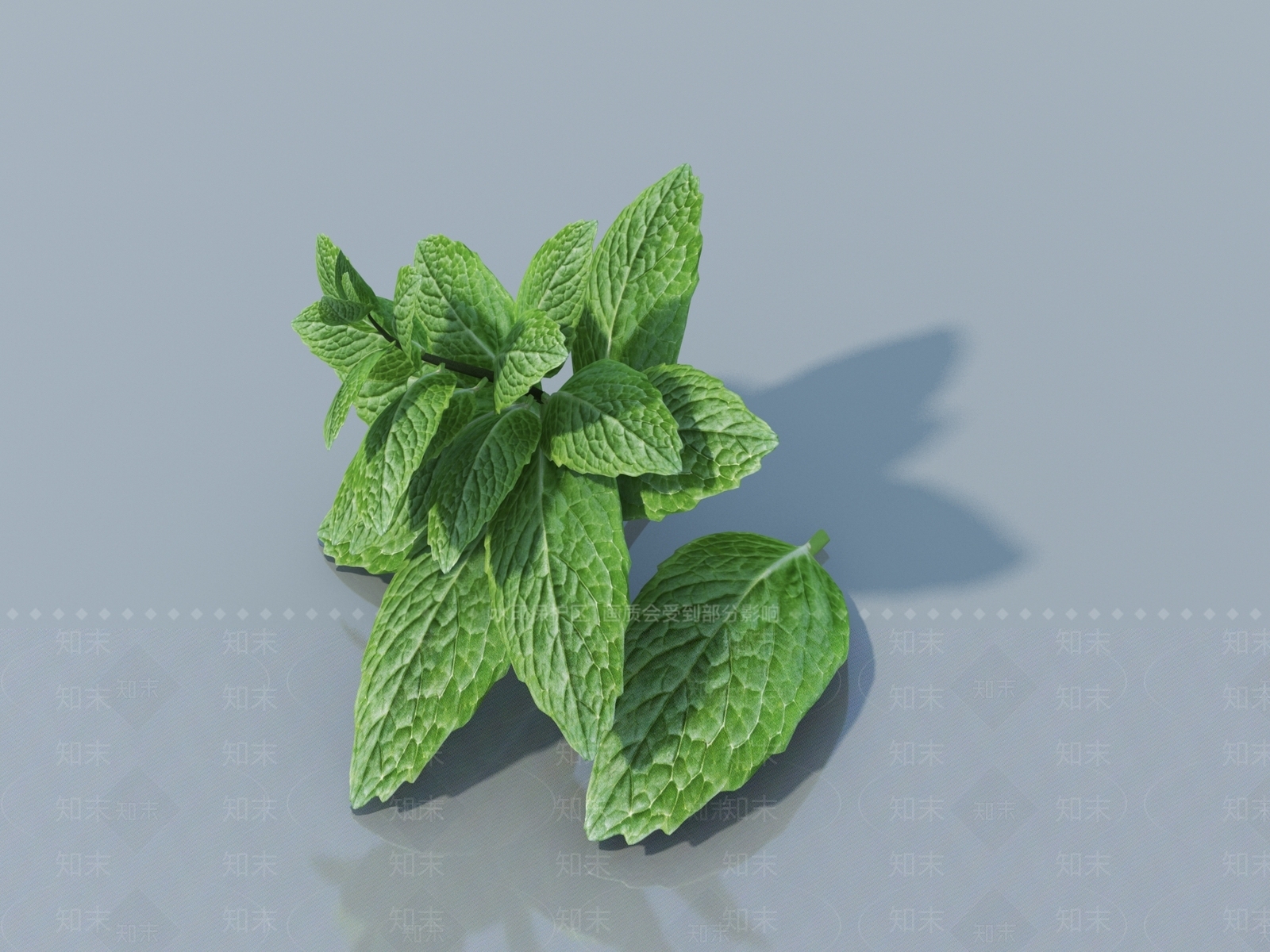 其他绿植3D模型下载【ID:1166047201】
