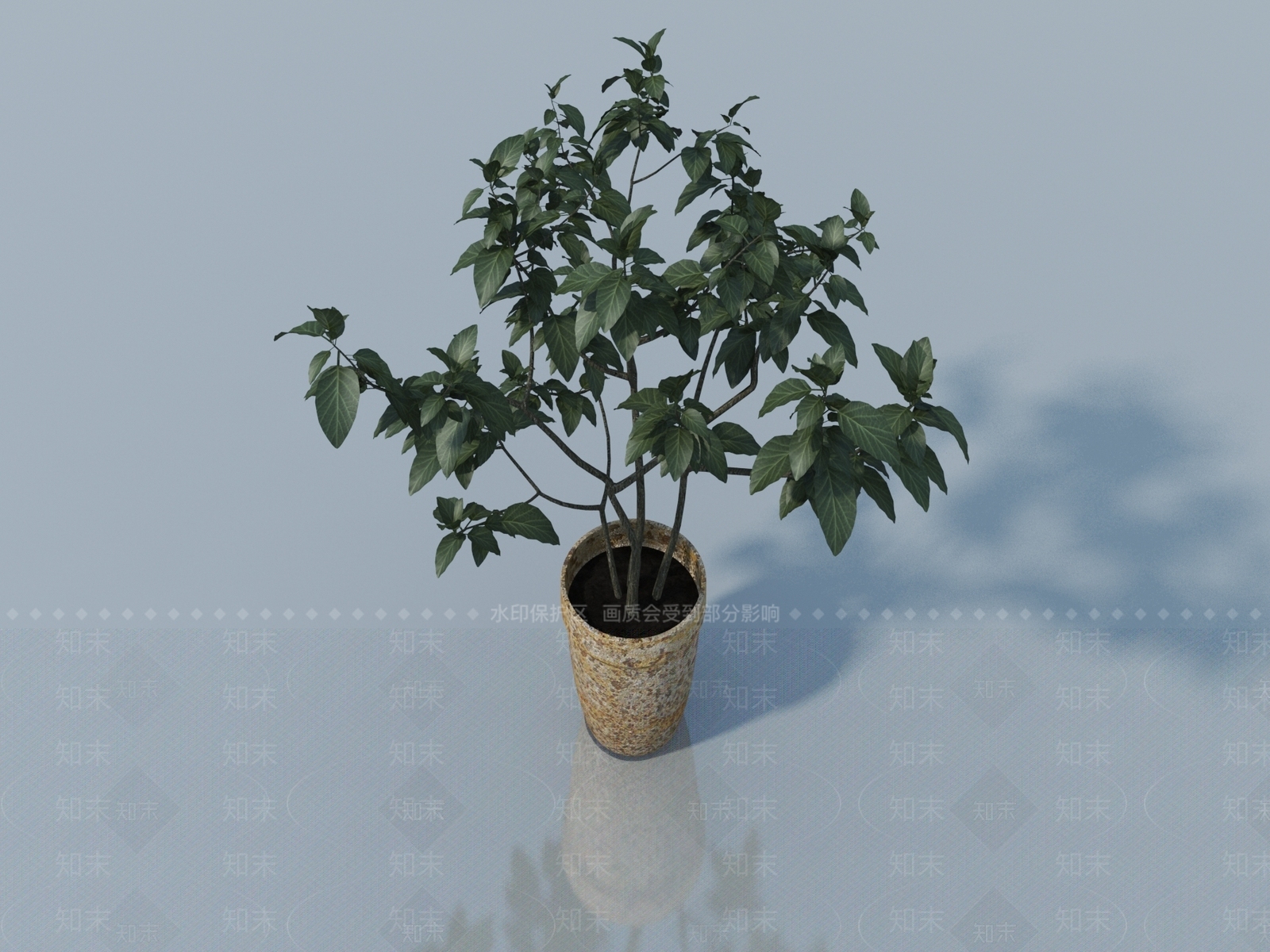 其他绿植3D模型下载【ID:1166050206】