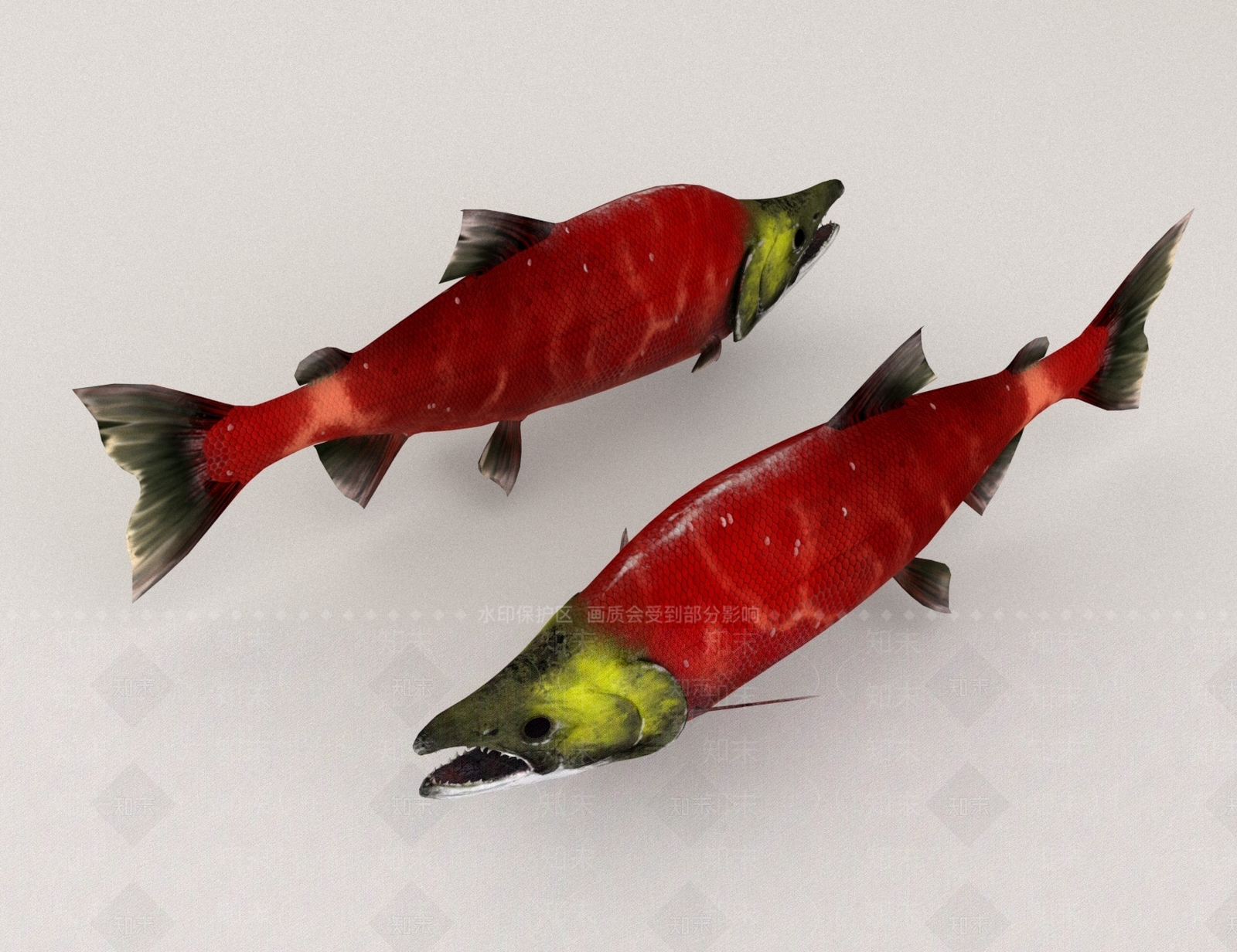 水生类动物3D模型下载【ID:1166096273】