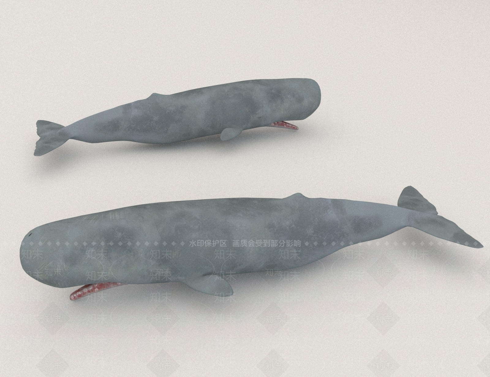 水生类动物3D模型下载【ID:1166098744】