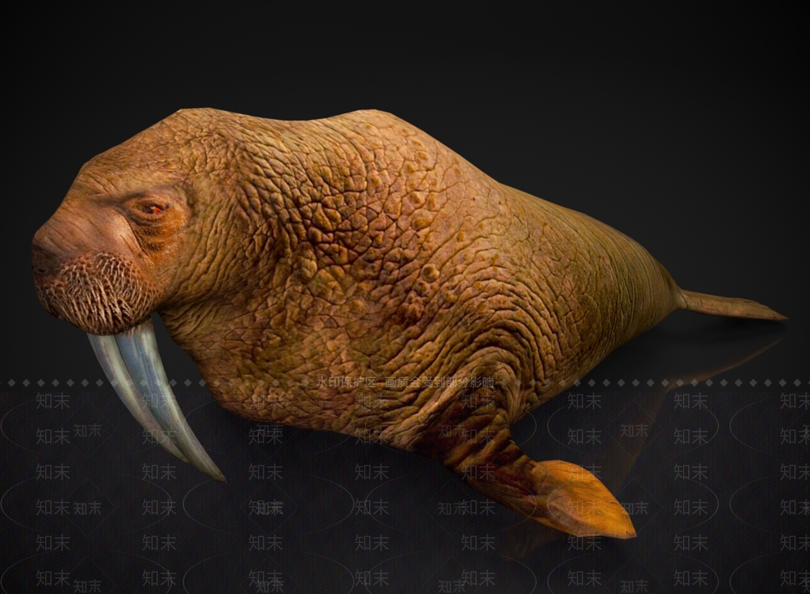 水生类动物3D模型下载【ID:1166126269】