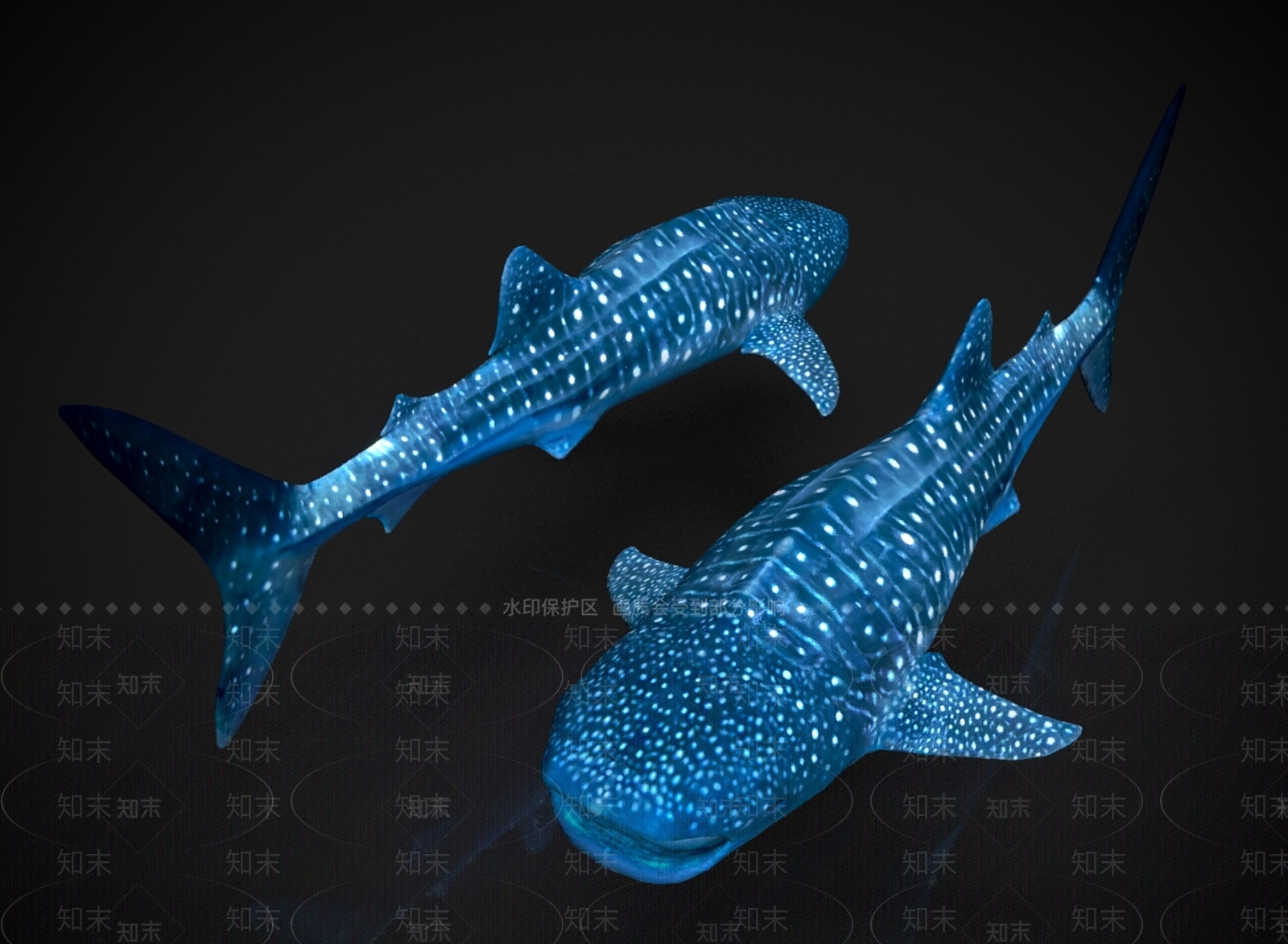 水生类动物3D模型下载【ID:1166126549】