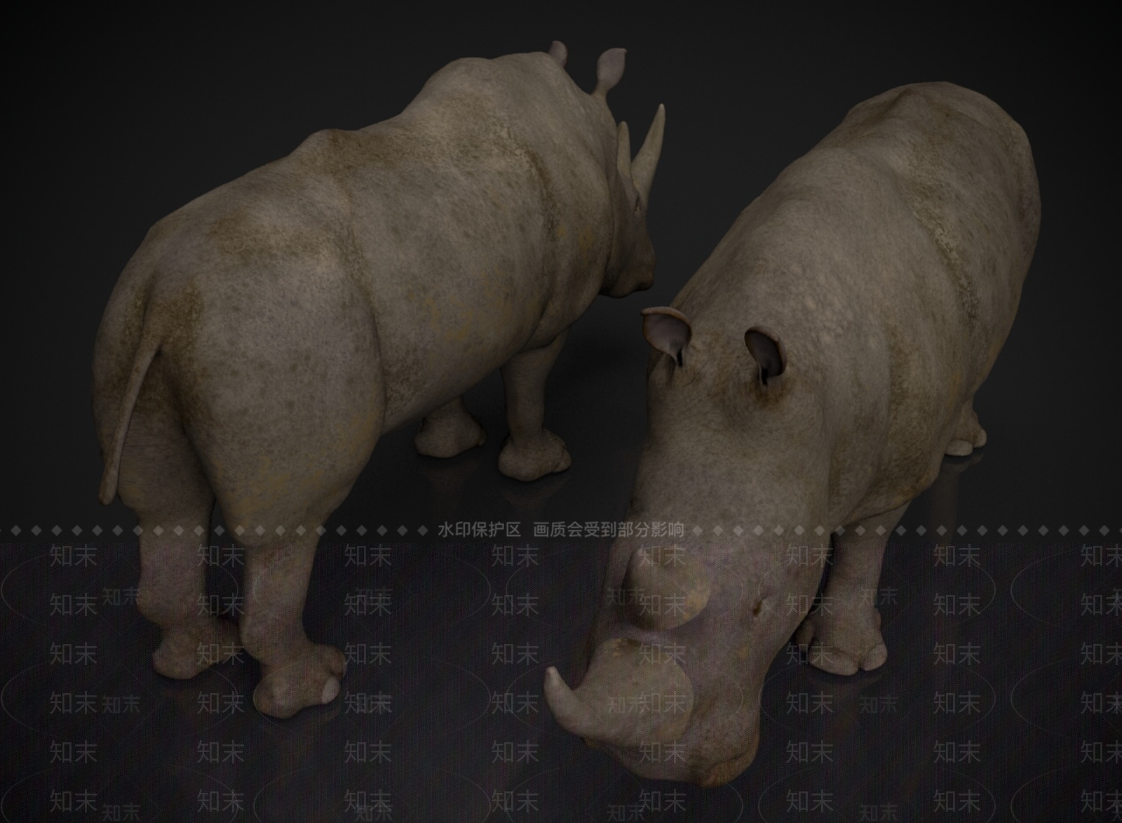 其他动物3D模型下载【ID:1166126684】