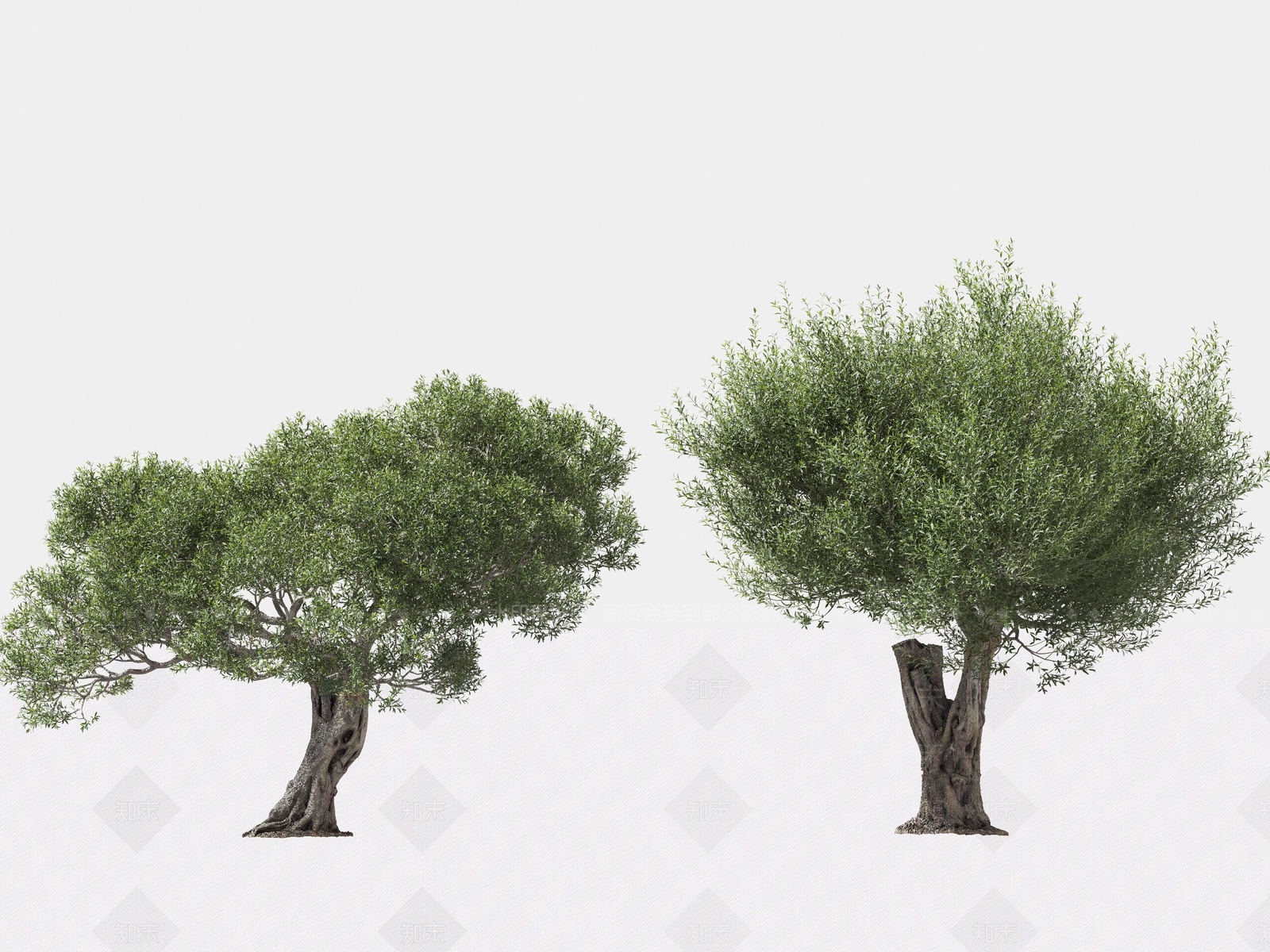 乔木3D模型下载【ID:1166170461】