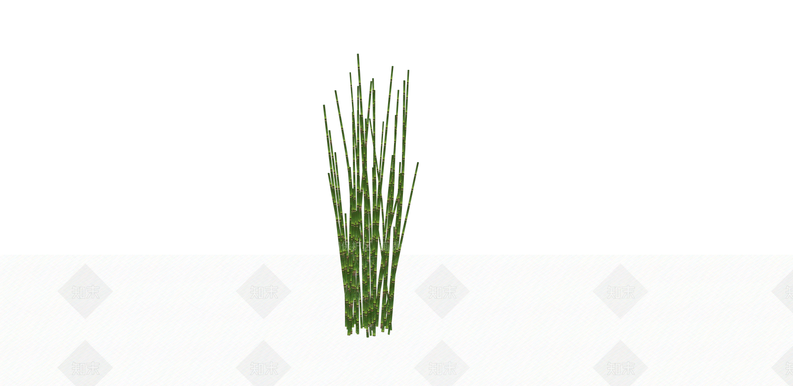 水生植物SU模型下载【ID:1166233178】