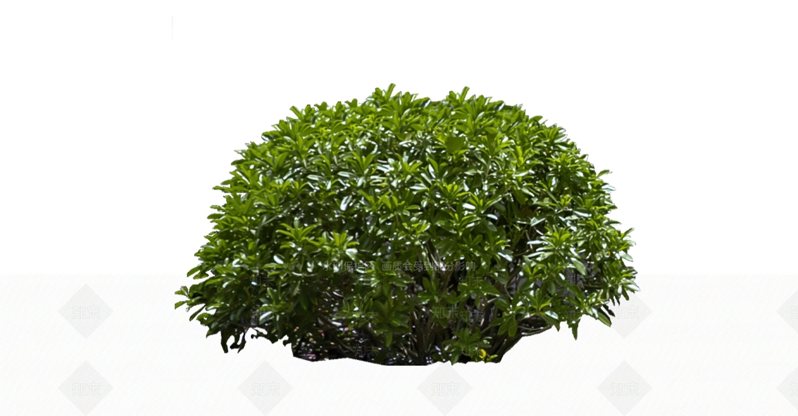 灌木SU模型下载【ID:1166265056】