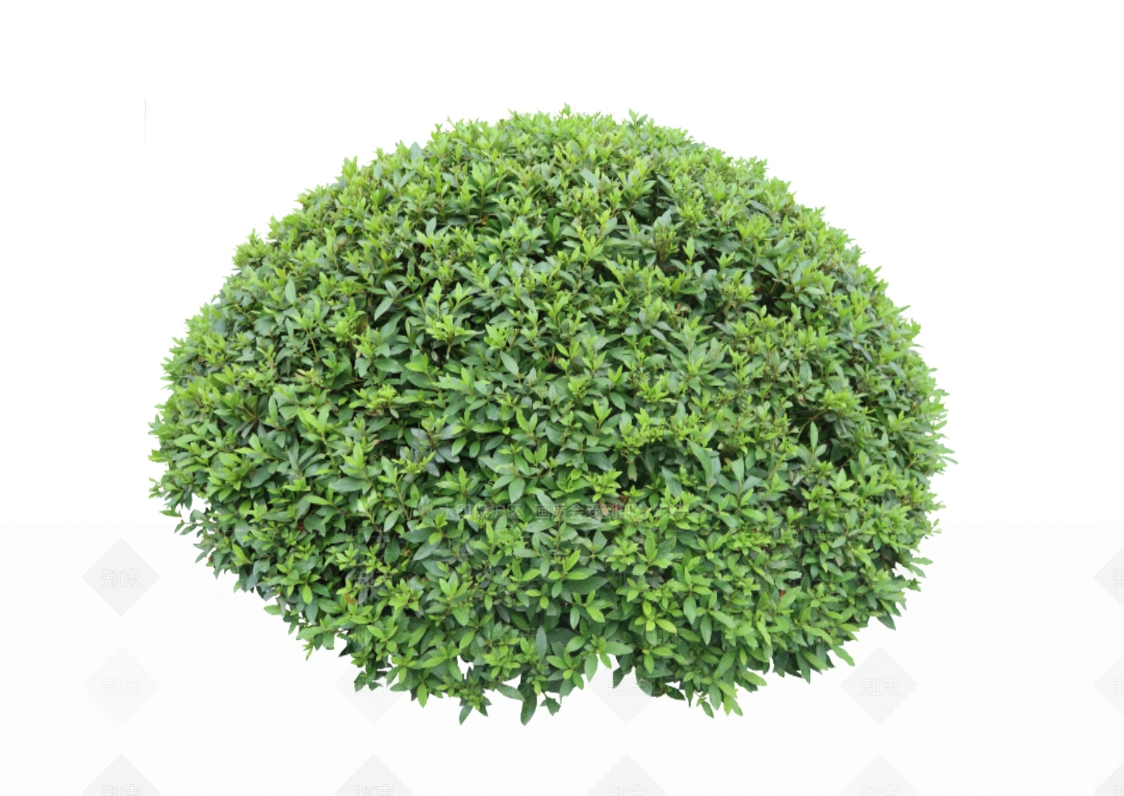 灌木SU模型下载【ID:1166266924】