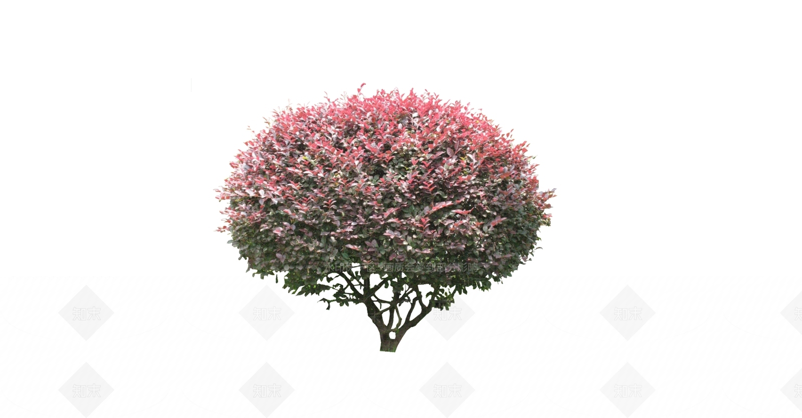 灌木SU模型下载【ID:1166269826】
