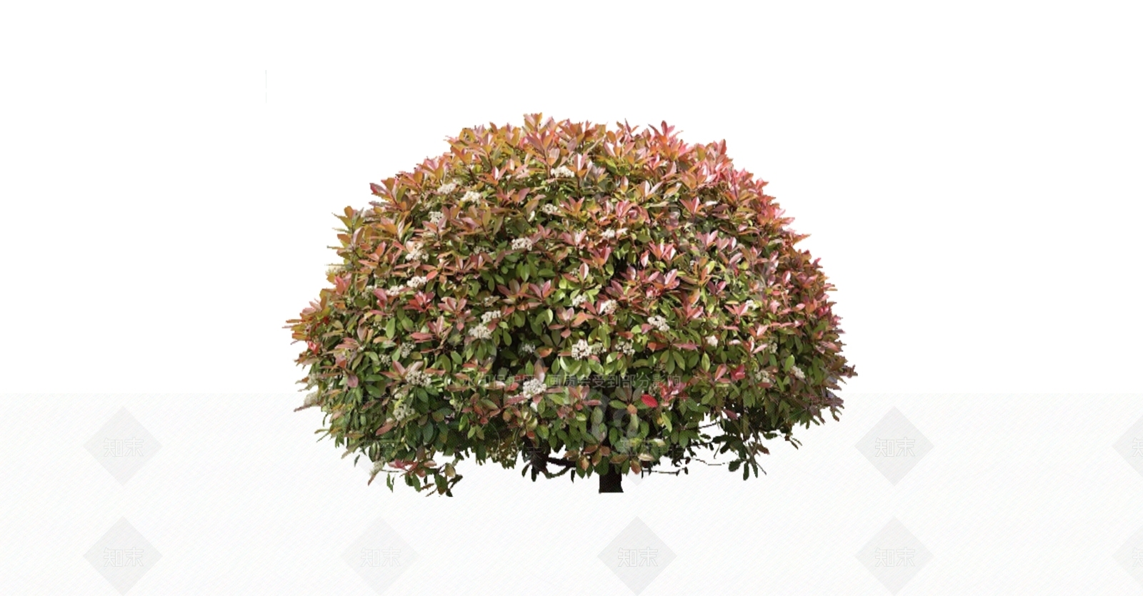 灌木SU模型下载【ID:1166270866】