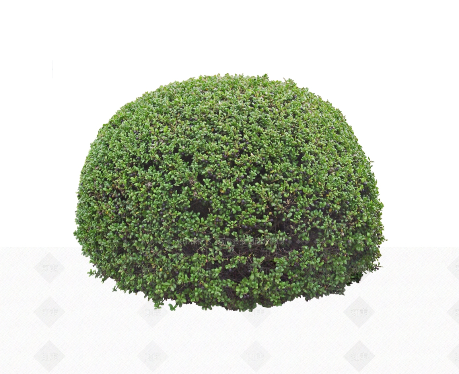 灌木SU模型下载【ID:1166284655】