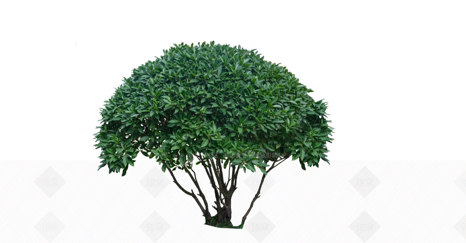 灌木SU模型下载【ID:1166286439】