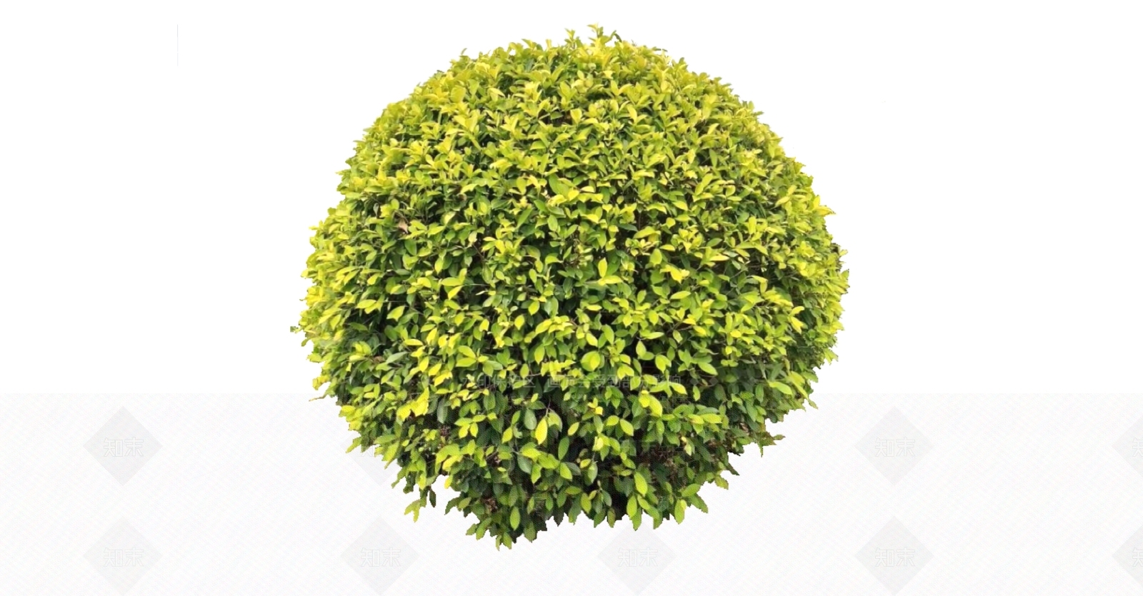 灌木SU模型下载【ID:1166289559】