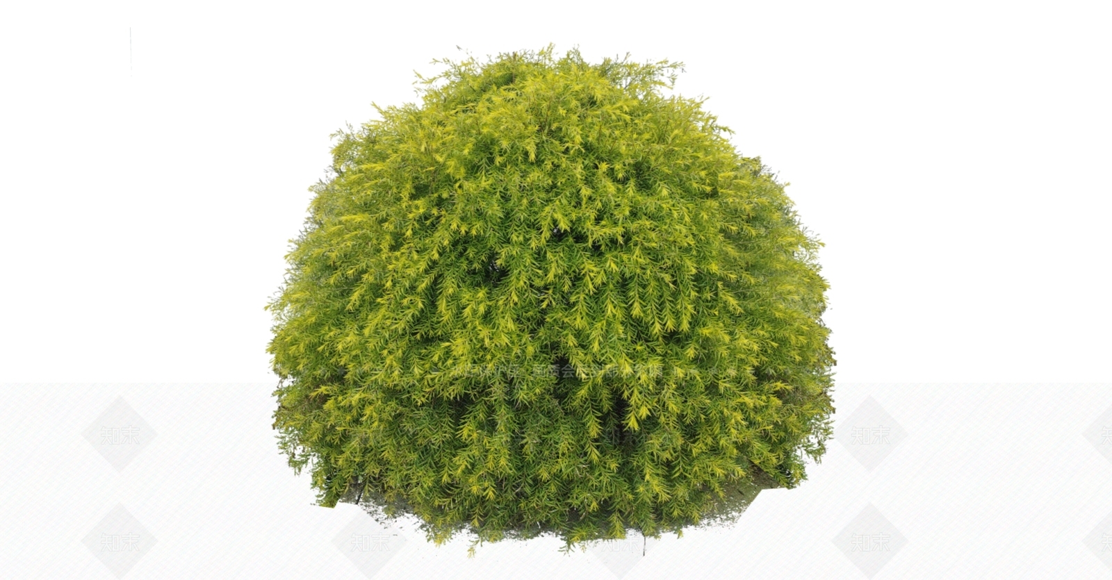 灌木SU模型下载【ID:1166292458】