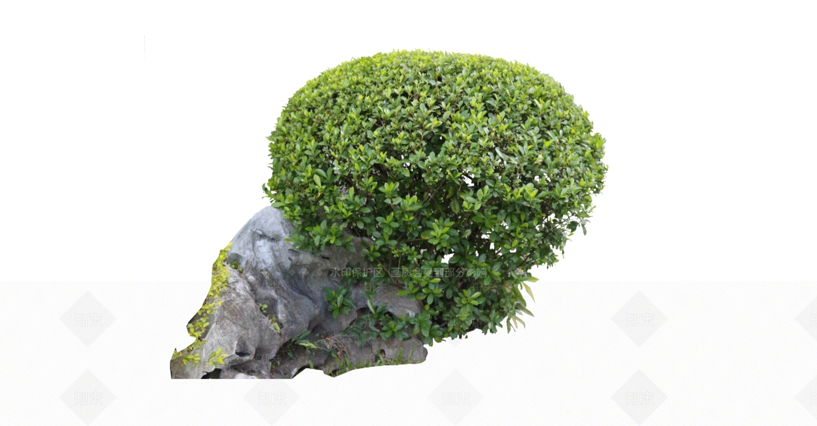 灌木SU模型下载【ID:1166293930】