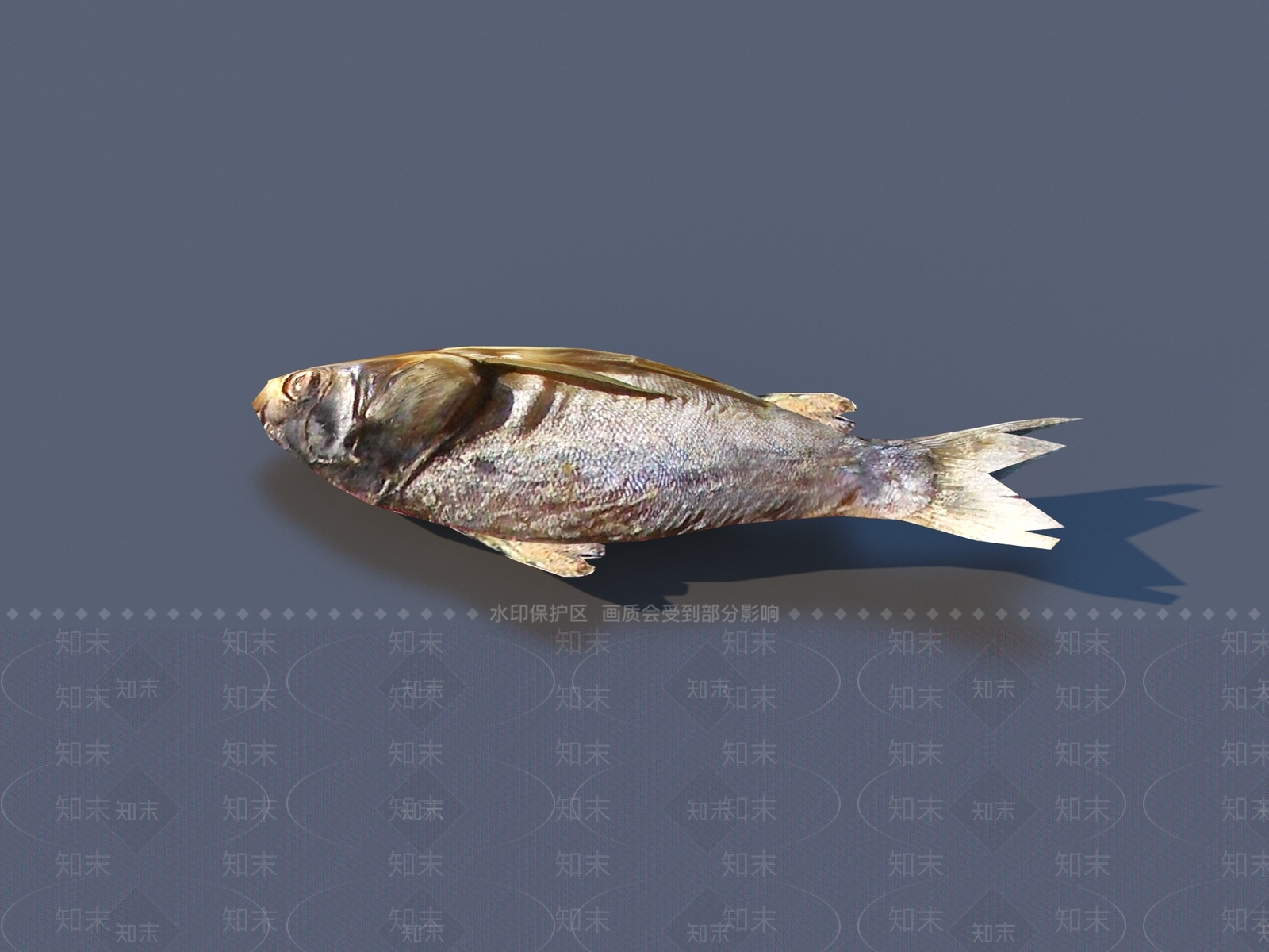 水生类动物3D模型下载【ID:1166331783】