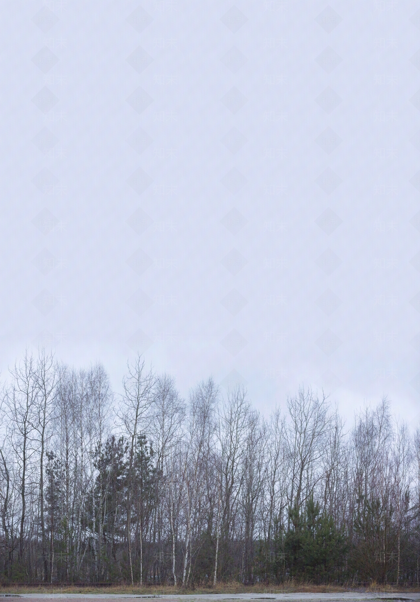 现代天空外景贴图下载【ID:1166358222】