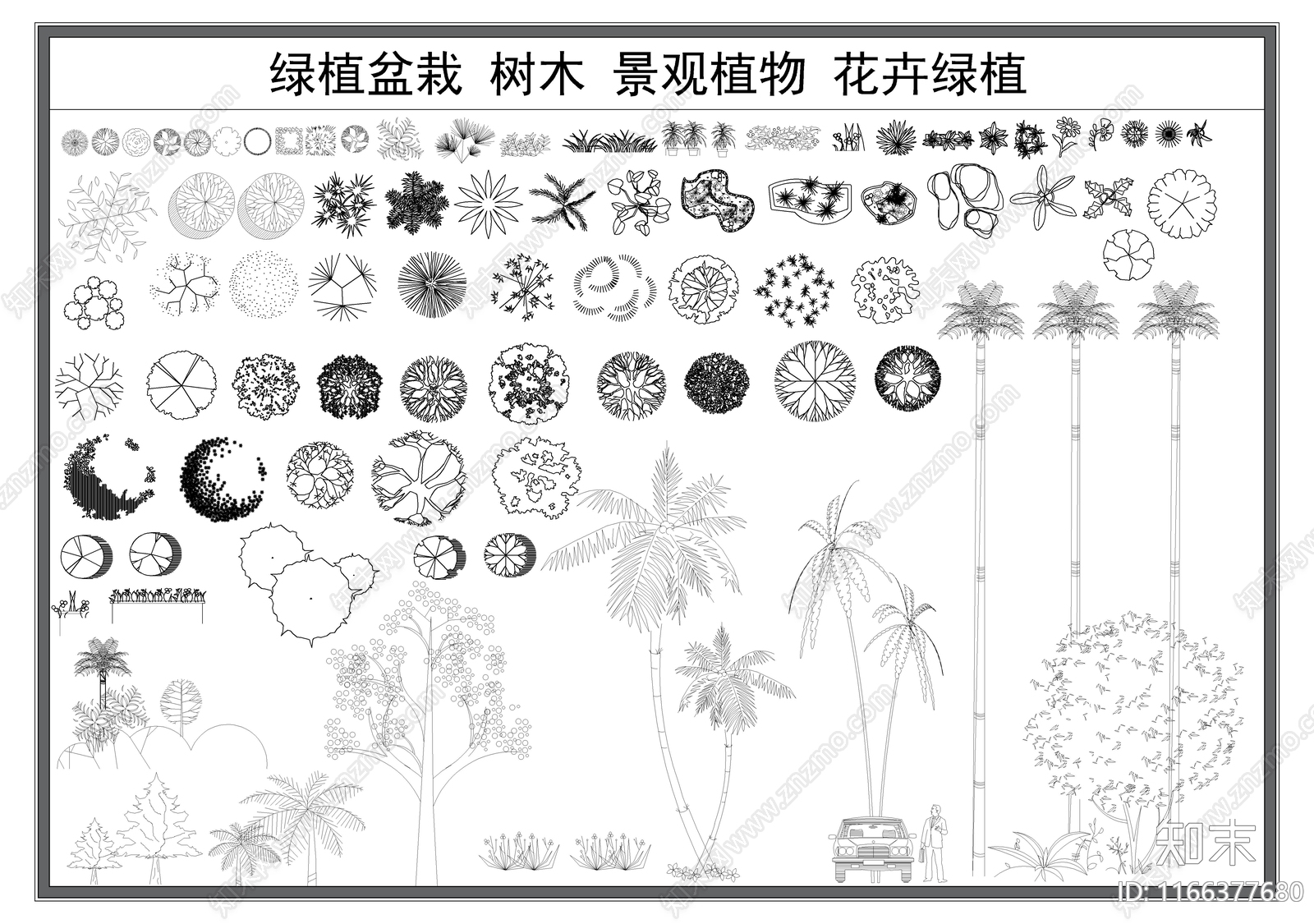 现代综合植物图库施工图下载【ID:1166377680】