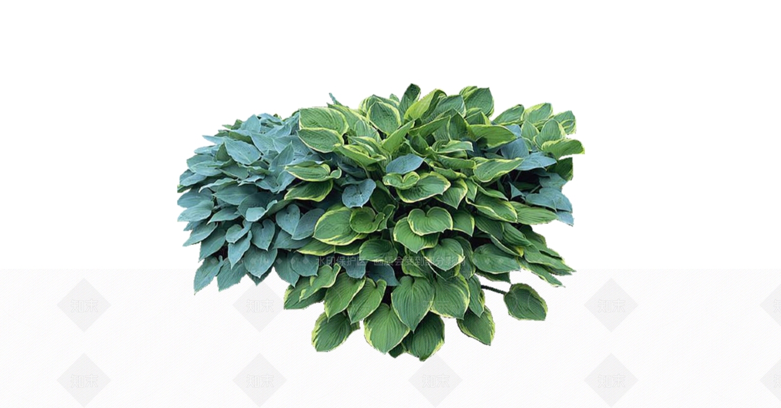 灌木SU模型下载【ID:1166393034】