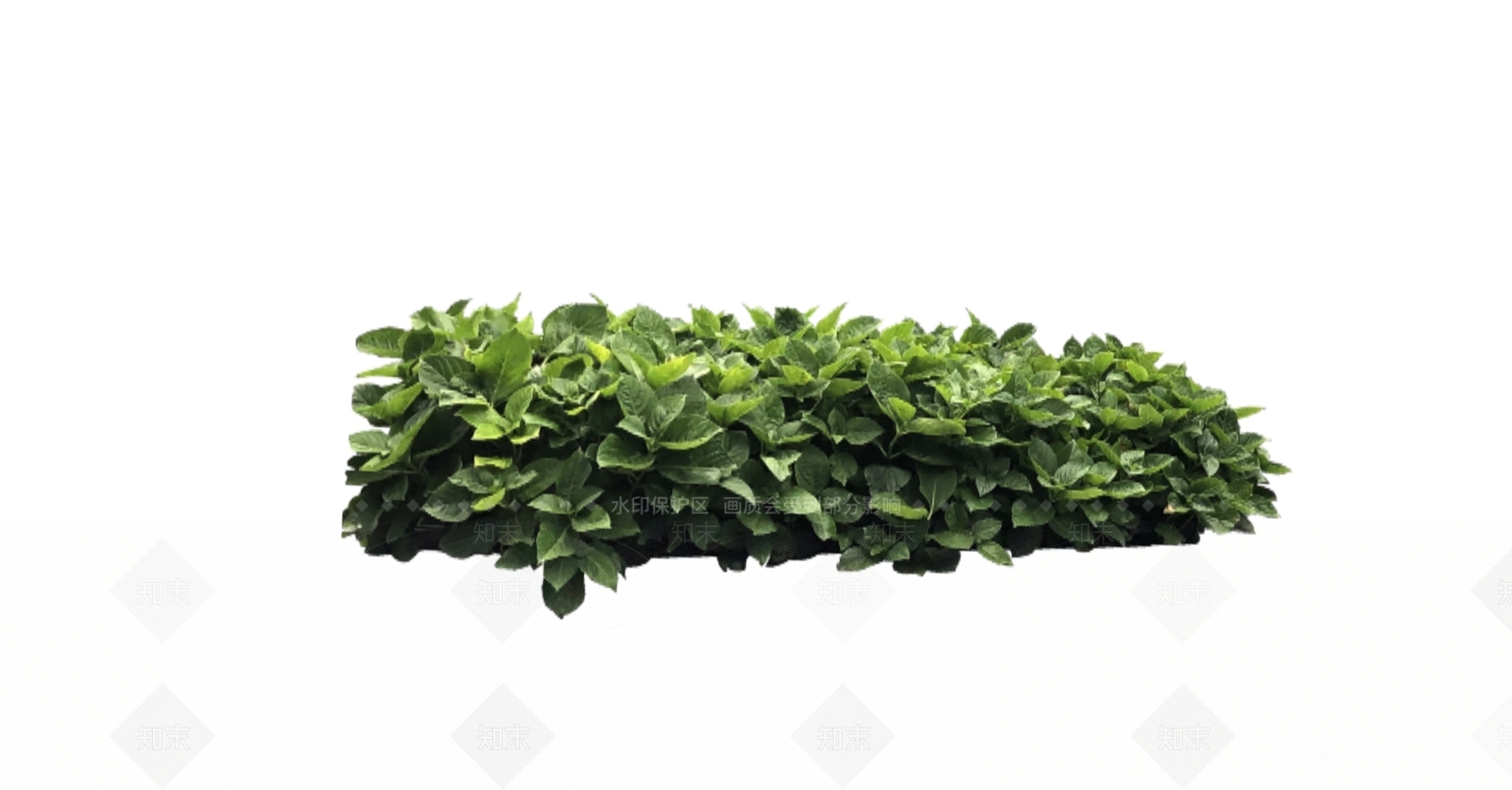 灌木SU模型下载【ID:1166396788】