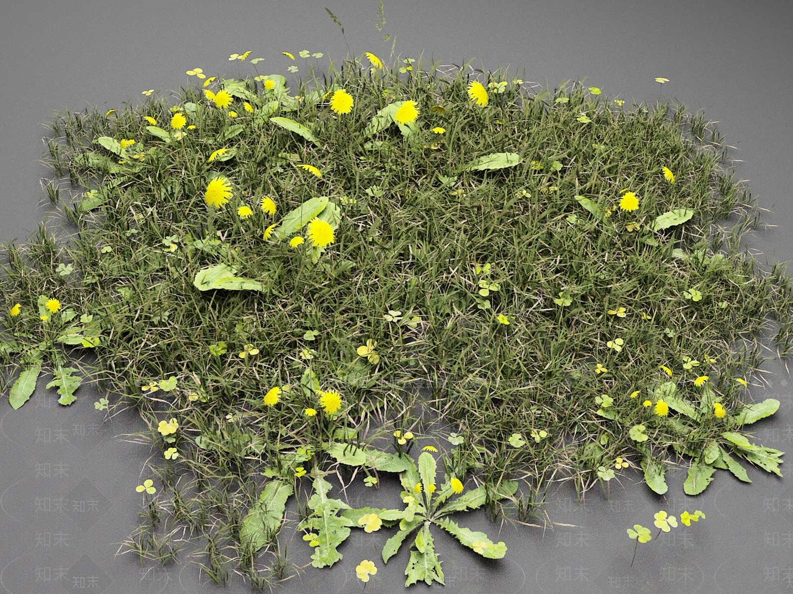 花草组合3D模型下载【ID:1166401973】