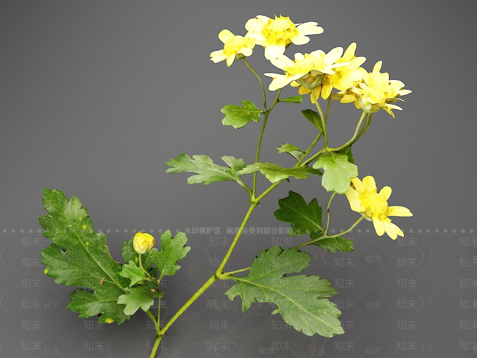 花草组合3D模型下载【ID:1166403429】