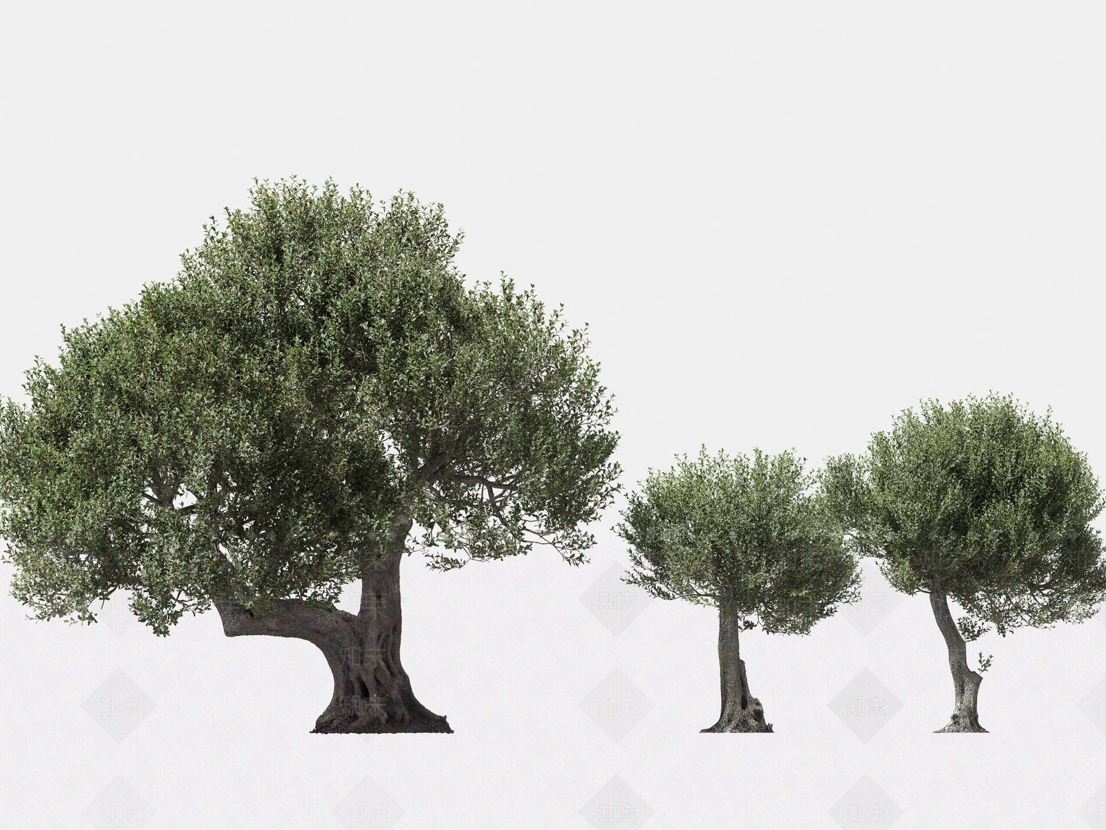 景观树3D模型下载【ID:1166421921】