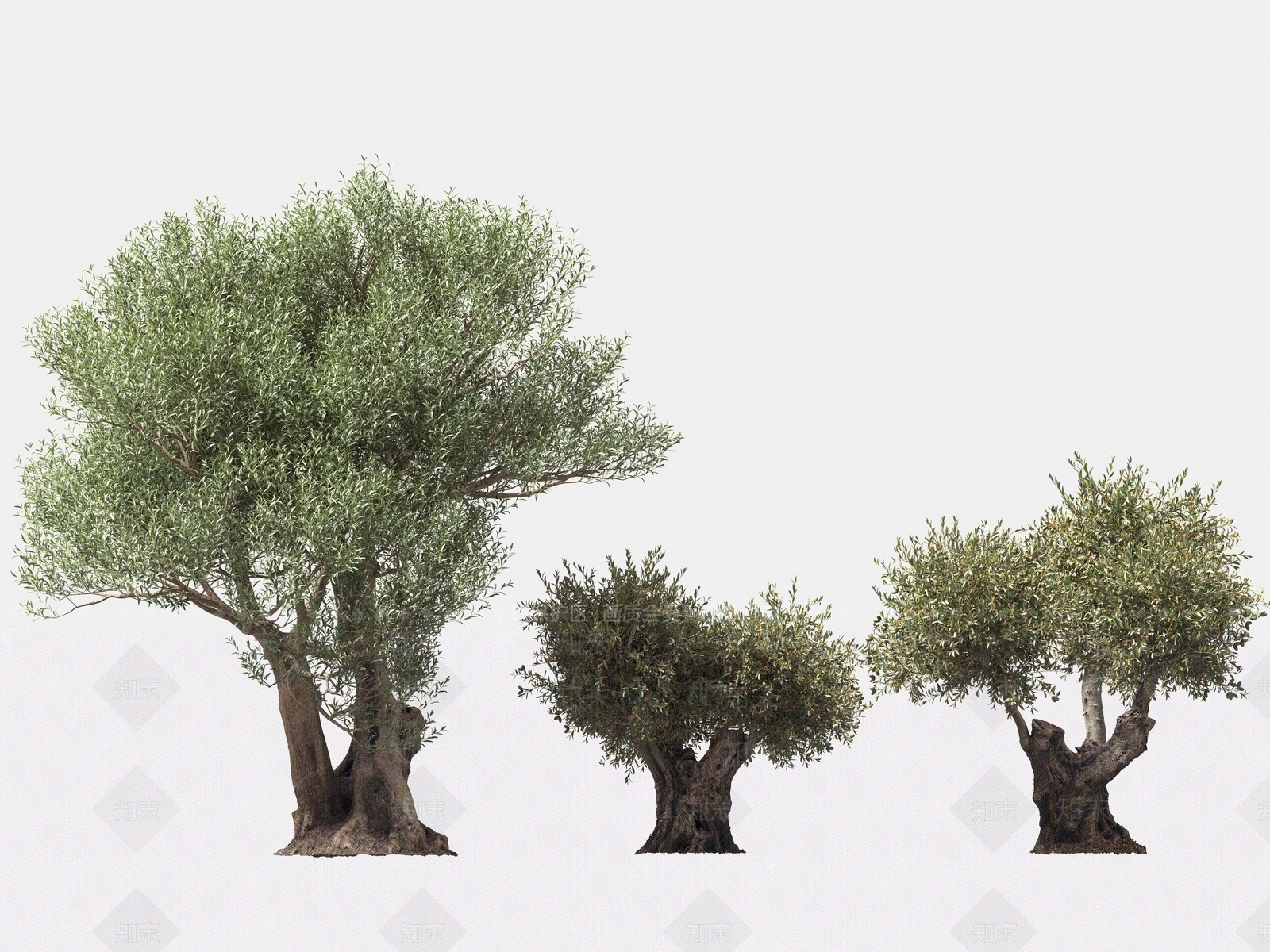 乔木3D模型下载【ID:1166425905】