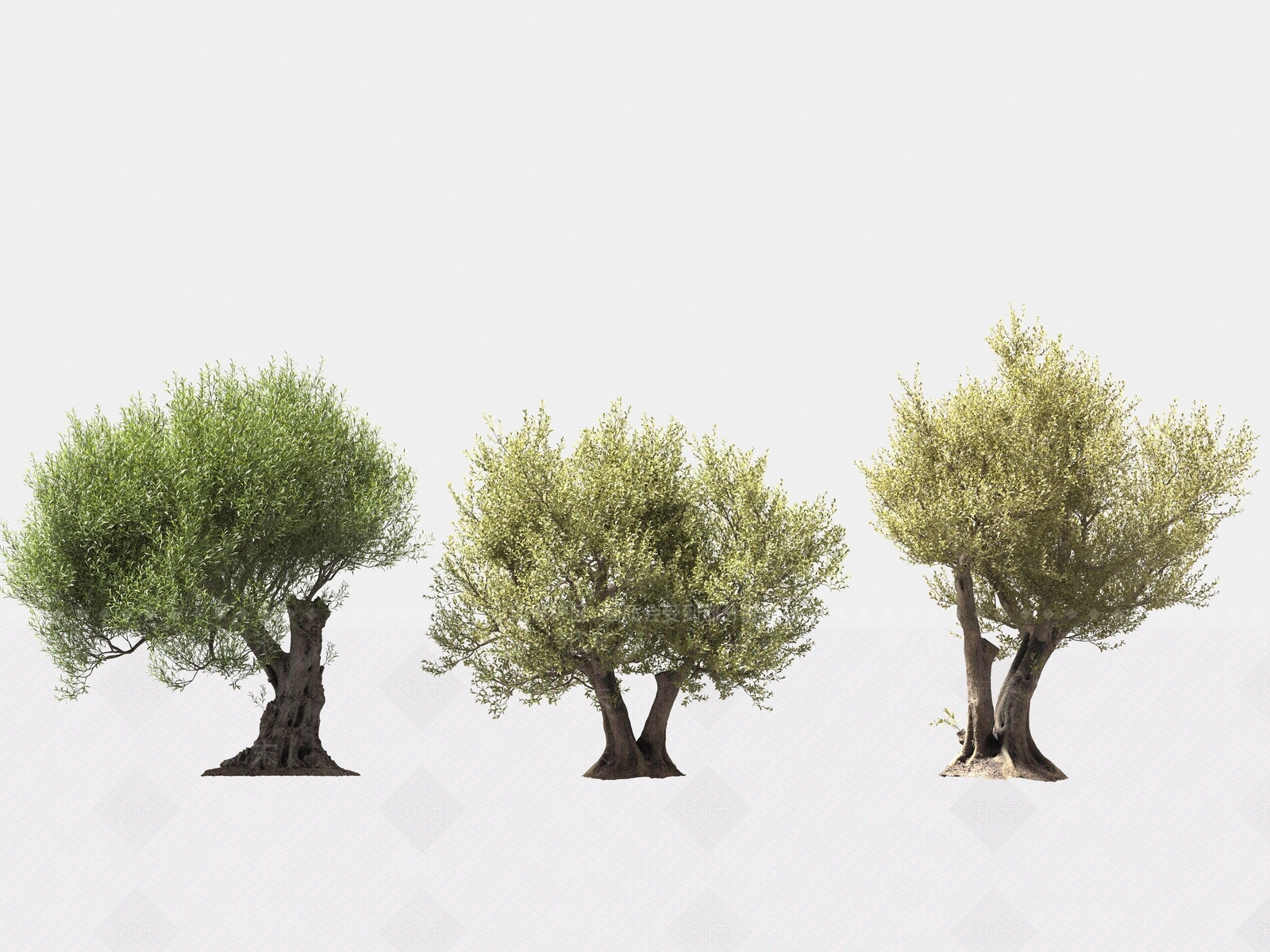乔木3D模型下载【ID:1166425737】