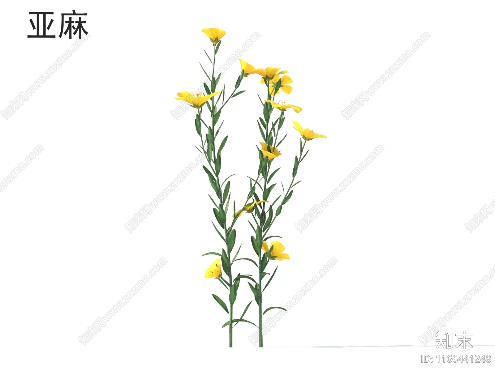 花3D模型下载【ID:1166441248】