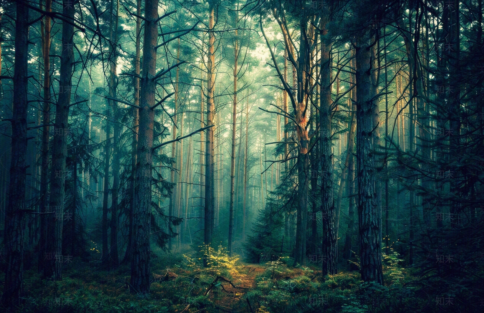 欧式壁纸贴图下载【ID:1166455645】