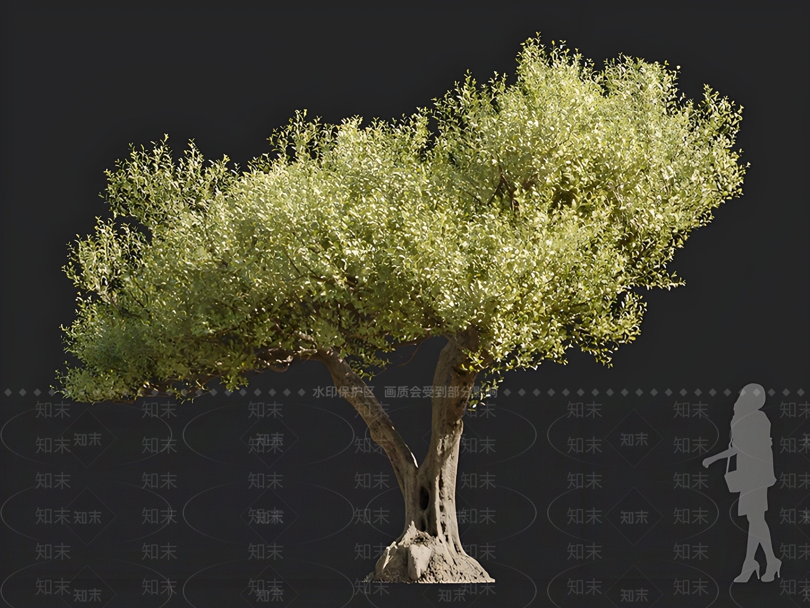 乔木3D模型下载【ID:1166505112】